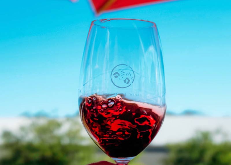 Free website template