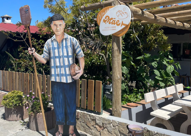 Free website template